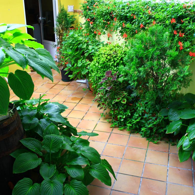 Hostal Escartin Sabiñánigo Buitenkant foto