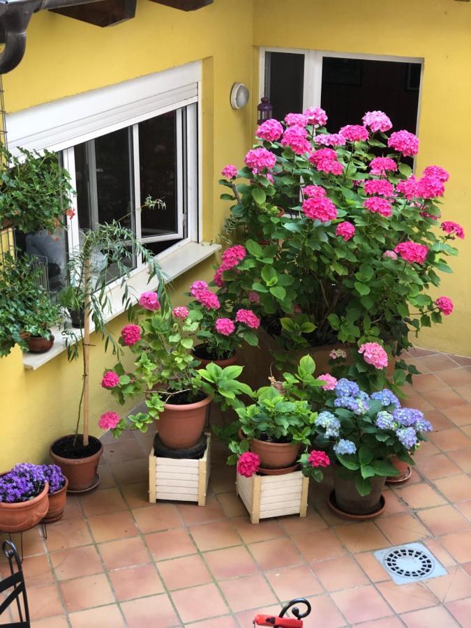 Hostal Escartin Sabiñánigo Buitenkant foto